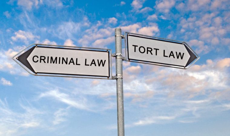What’s the Difference Between a Crime and a Tort?