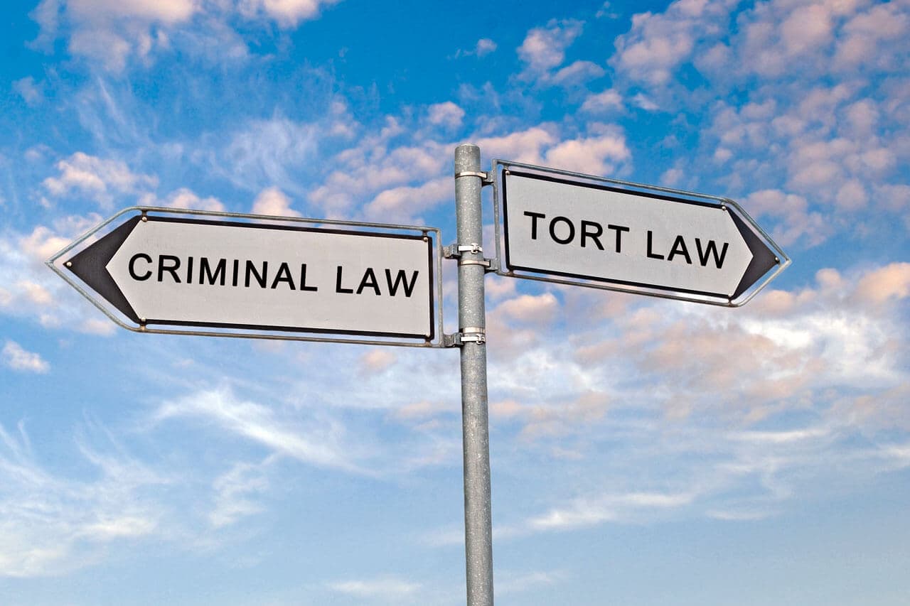 tort and criminal law
